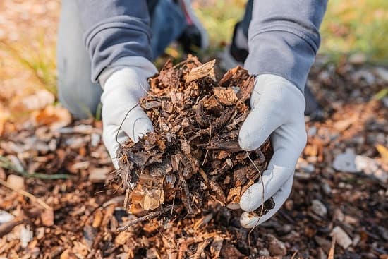 Agro Waste Management